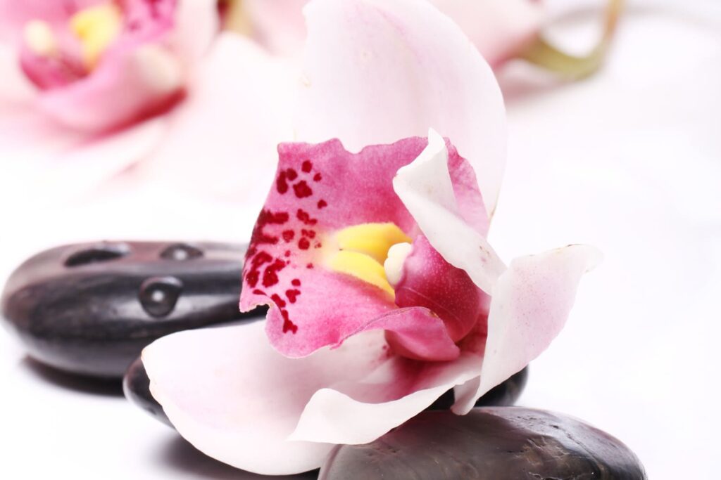 k-sensations-spa-the-palm-dubai-special-offer-packages-1500
